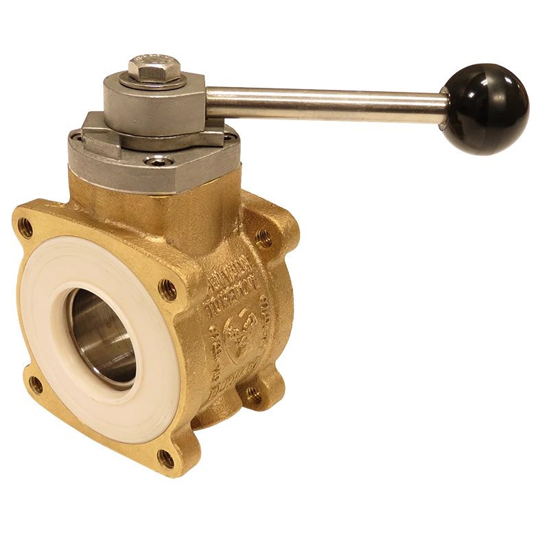 Single Body Apparatus Valves