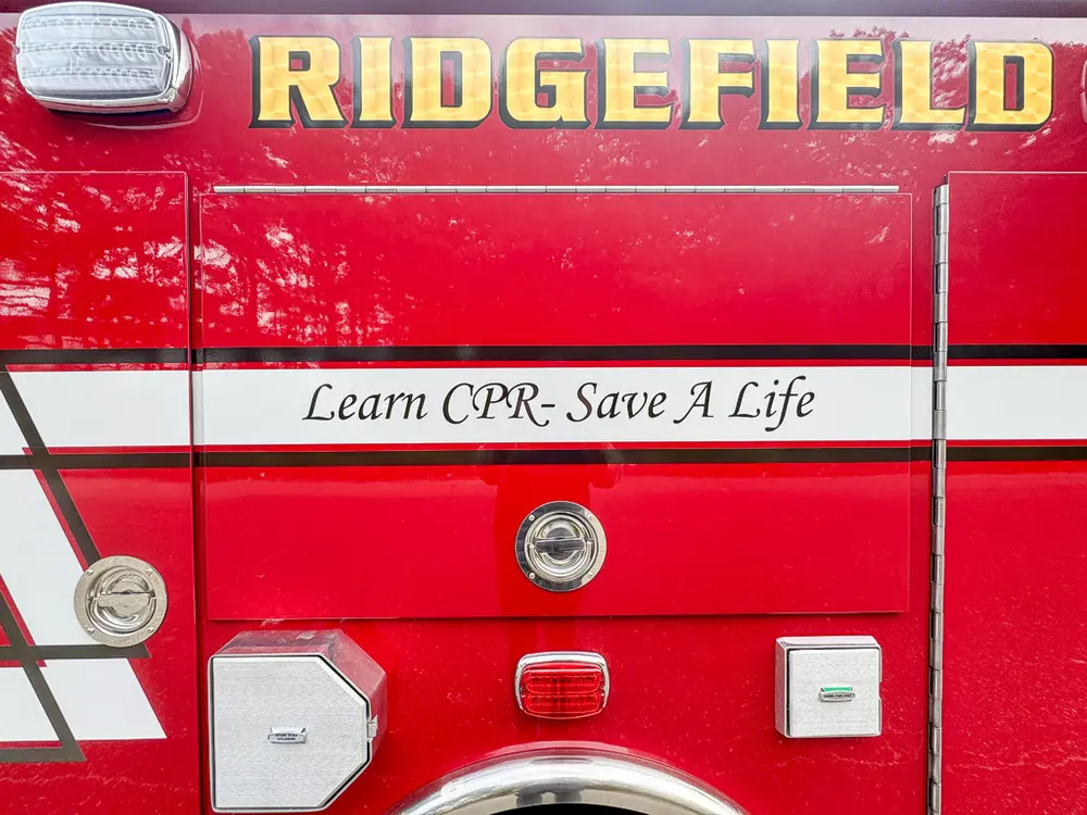 Side body lettering close-up with stripe and marker lights.