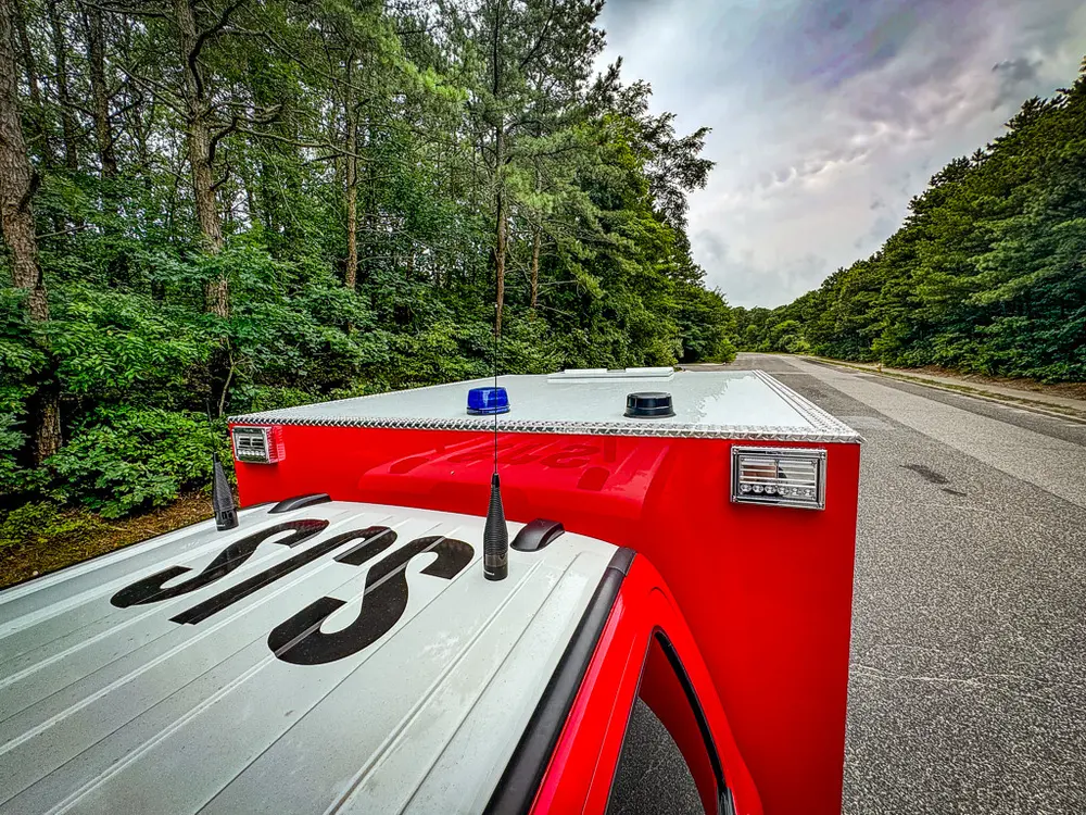 Top deck view over silver roof panel with SJS marking.
