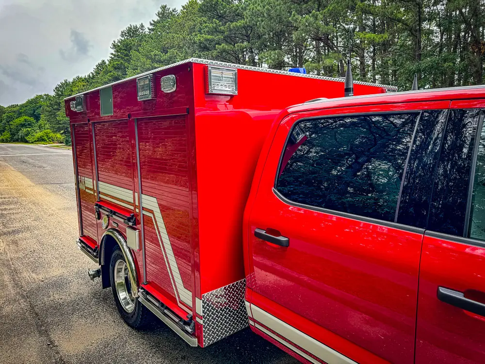 Rear half of cab and body side profile showing side stripe and paneling.