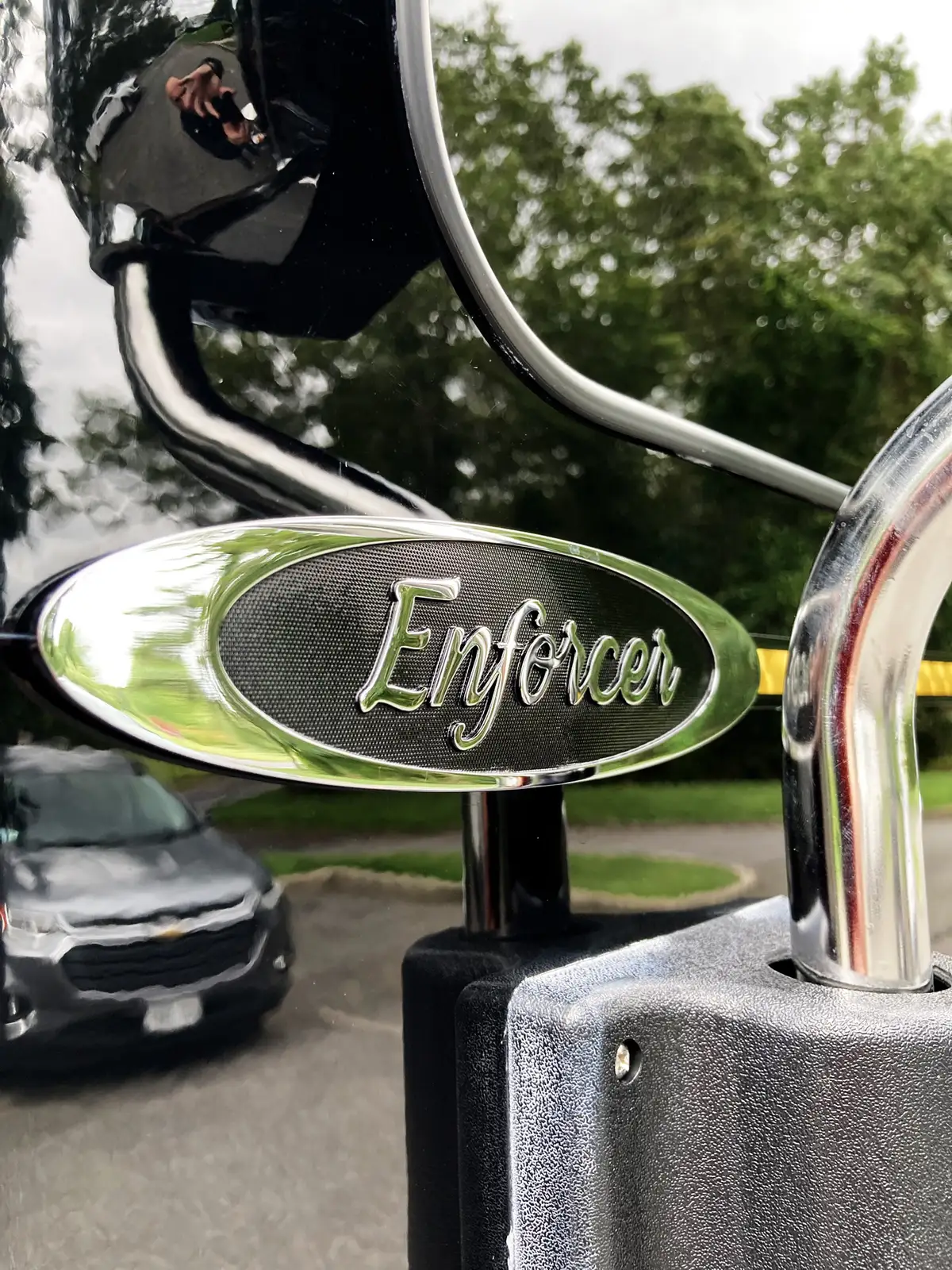 Gold lion graphic close-up on black body panel